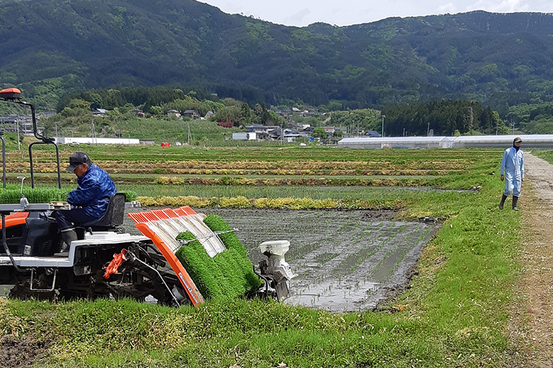 05 田植え